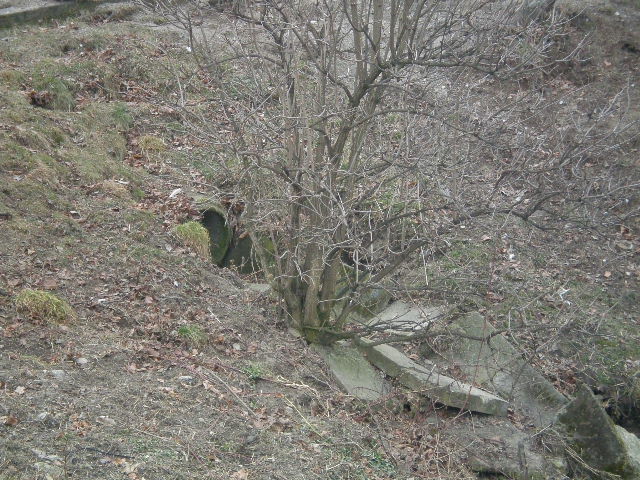 P2190037.JPG